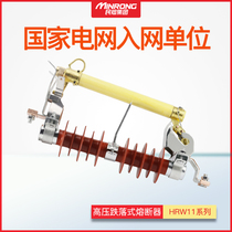 RW11-10KV 100A 200A Outdoor High Voltage Fuse Switch HRW11 Drop Fuse Fuse Holder