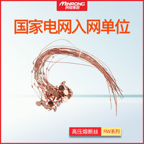 10KV buckle fuse All copper 10-100A 35kv20A30A40A50A RW drop fuse fuse