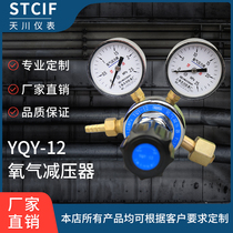 Tianchuan instrument oxygen pressure reducer 0-25mpa full copper pressure regulating valve gas cylinder factory direct sales
