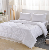 Hotel bedding air conditioner summer quilt imitation silk whole cotton core washable and long-lasting