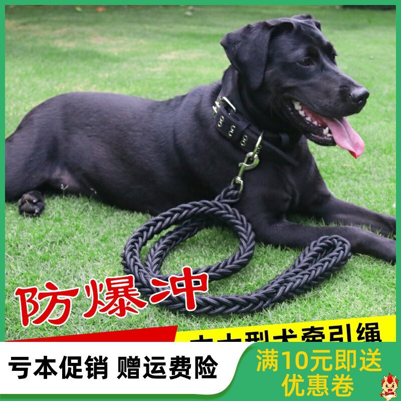 Dog traction rope large and large dog walking dog rope Kim Mauro Labrador Pastoral dog chain Pet Supplies