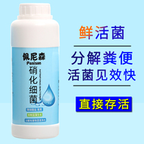 Nitrifying bacteria Digestive bacteria for fish tank Aquarium Nitrifying bacteria Live bacteria Water quality stabilizer Water purifier Fish farming supplies
