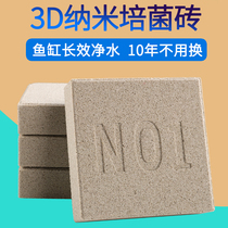 Aquarium fish tank filter material Bacterial house water purification Nitrification bacterial culture stone Ceramic ring NO1 nano brick filter material