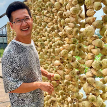 Captain Yangs big heads and spicy-grain filaments to the specialty cold eating rabbit radish dried peanut sugar