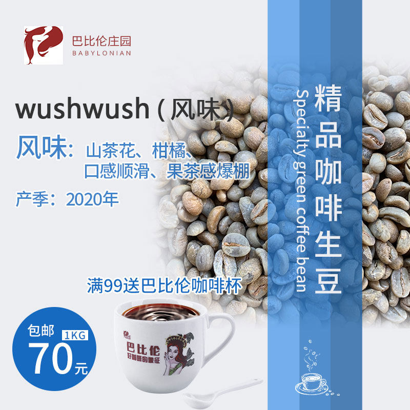 氧水洗咖啡豆新鲜烘焙现磨手冲咖啡精品原料生豆1KG