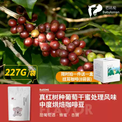 Boutique coffee beans Freshly ground raisins Honey processed cooked beans Real Red Babylon Manor fresh hand-brewed single-product coffee