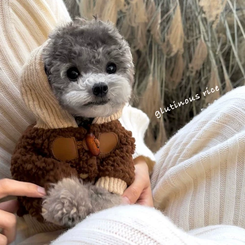 Одежда для собак, одежда для кошек, куртка из овечьей шерсти, осенне-зимняя новая пуговица с рогом, Тедди-бишон, йоркширский терьер