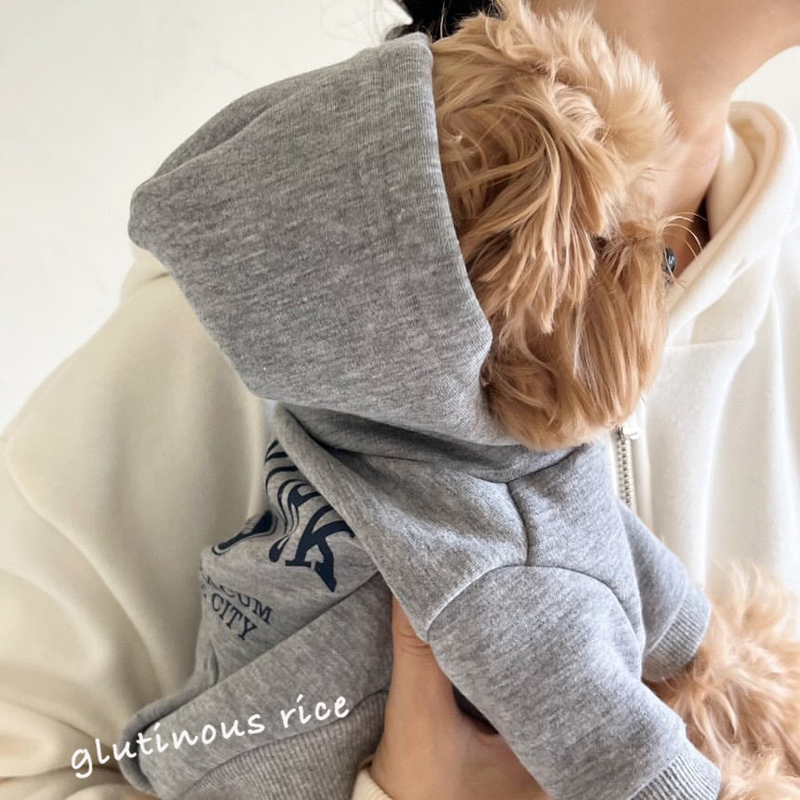 Pet Dog Clothes for Autumn and Winter, New Korean Style, ins Cat Hooded Sweatshirt, Small Dogs Like Bichon Frise and Teddy