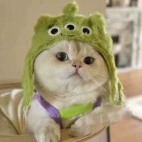 Трехглазый мальчик (подходит для веса от 3 до 15 фунтов)