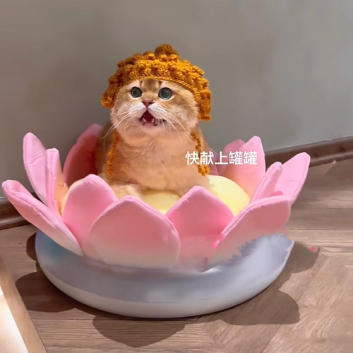 Шлем, шапка, аксессуар для волос, милый трикотажный шерстяной декор