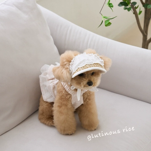 Собака французская леди кружева соломенная шляпа домашние животные элегантные декоративные летние солнцезащитные крем