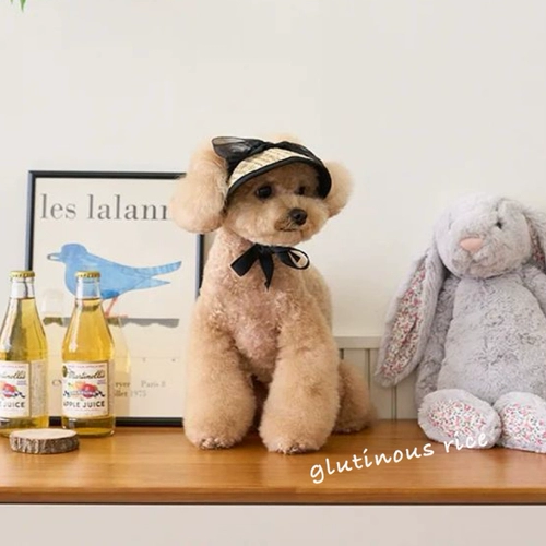 Собака французская леди кружева соломенная шляпа домашние животные элегантные декоративные летние солнцезащитные крем