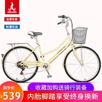 Phoenix brand bicycle female 24 inch 26 inch light walking bicycle male ordinary students commute