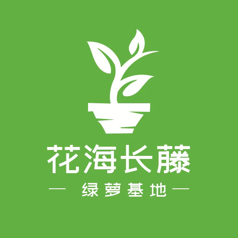 花海长藤绿萝基地