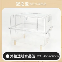 Внешняя прозрачная кристаллическая клетка