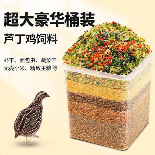 Разрушение куриных питательных яиц и зернового рафтинга хлеб сушено