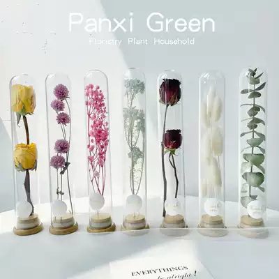 ins glass test tube real flower dry flower bouquet forever flower star Eucalyptus Eucalyptus creative gift Teacher's Day gift