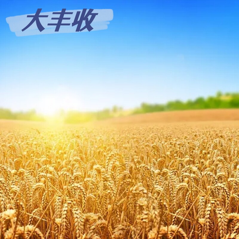 大丰收农资材料的LOGO