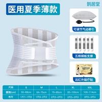 Летний тонкий пояс] Мужчины и женские модели [Пневматическая тяга+поясничные наклейки на позвоночник+5 стальных тарелок]