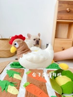 Курица, которая может отложить яйца