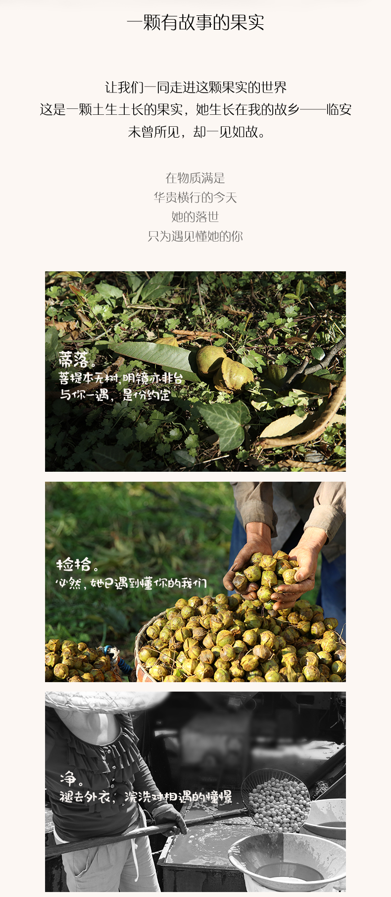 秋滋味 临安山核桃仁  108g*3罐  5种口味可选 图5