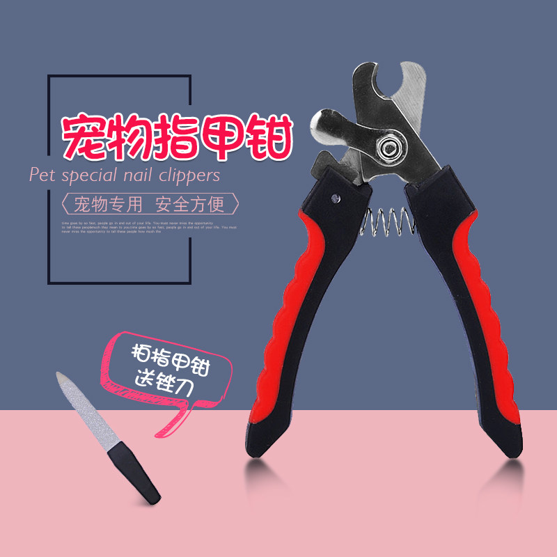 Cat Nail Scissors Pet Nail Clippers Puppy Cat Special Nail Clippers Small and Medium Large Dogs Teddy Cat Supplies