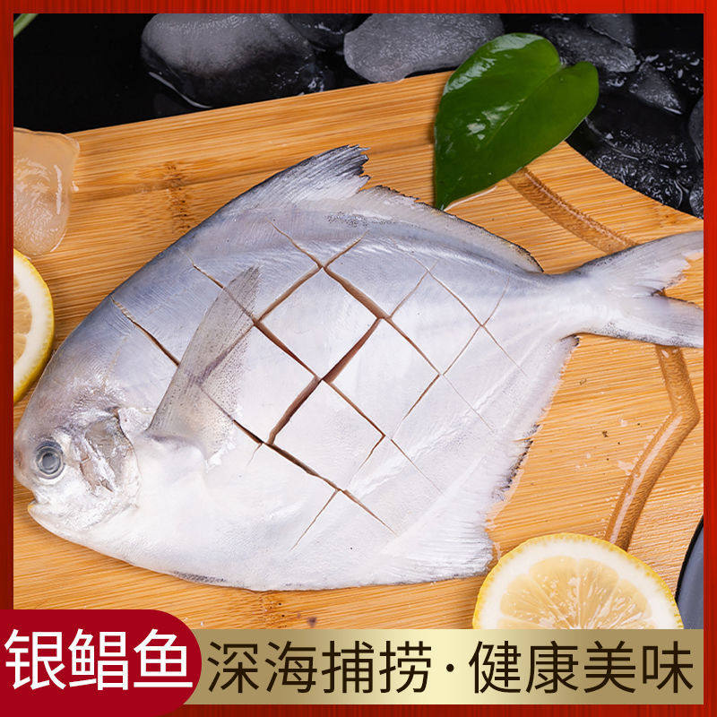 顺丰新鲜银鲳鱼大号白鲳鱼平鱼昌鱼海鲜水产鲜活鱼类批发冷冻生鲜怎么选？-鲳鱼-淘宝好物网