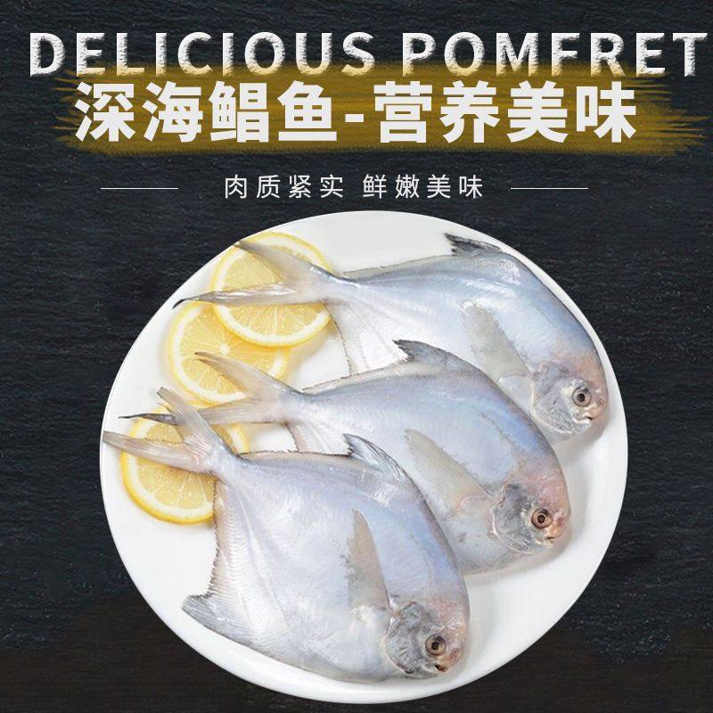 顺丰新鲜银鲳鱼大号白鲳鱼平鱼昌鱼海鲜水产鲜活鱼类批发冷冻生鲜怎么选？-鲳鱼-淘宝好物网