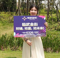 Stainless steel hand lift custom telescopic machine pole Billboard Billboard kindergarten card sports class hand lift