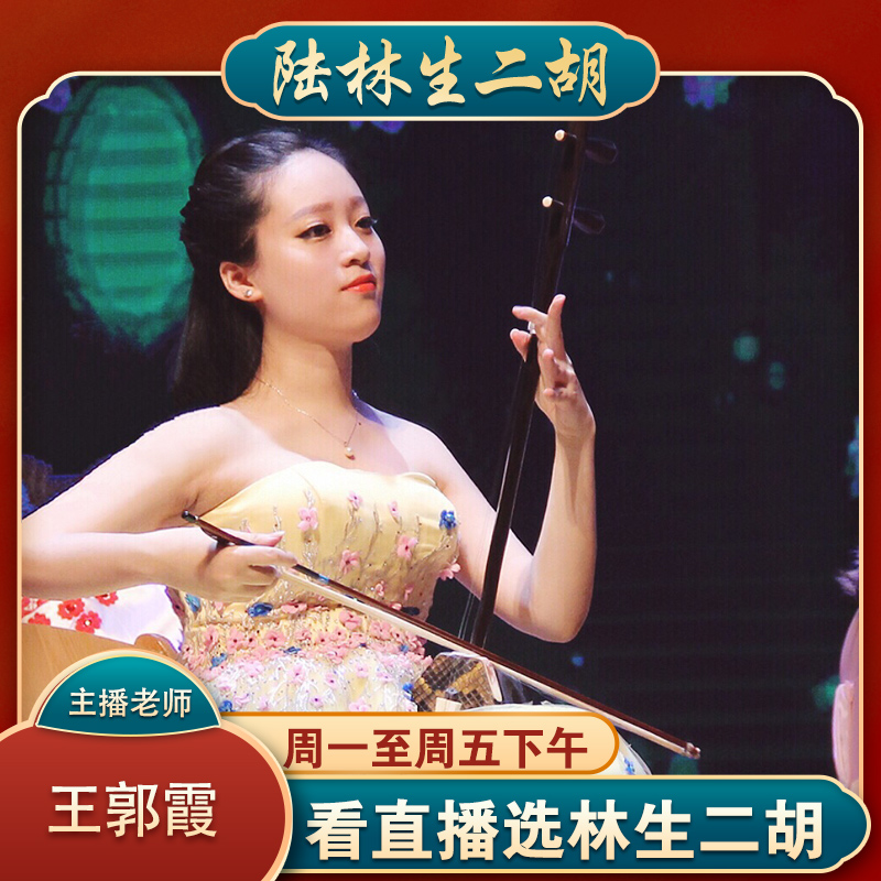 陆林生三星黑檀二胡乐器厂家直销正品成人演奏初学者入门专业胡琴