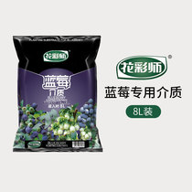 Hongyue flower color division nutrition soil blueberry special medium 8L family Organic Health