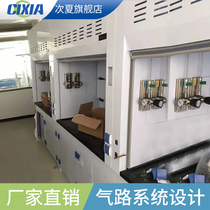 Gas pipeline accessories Stainless steel pressure reducer cylinders Laboratory gas circuit system Centralized supply cylinder cabinet Fume hood