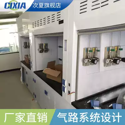 Gas pipeline fittings stainless steel pressure reducer cylinder laboratory gas path system centralized gas supply bottle cabinet fume hood