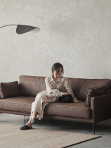 Pu Su Mu Nordic light luxury living room sofa modern simple small apartment leather trio