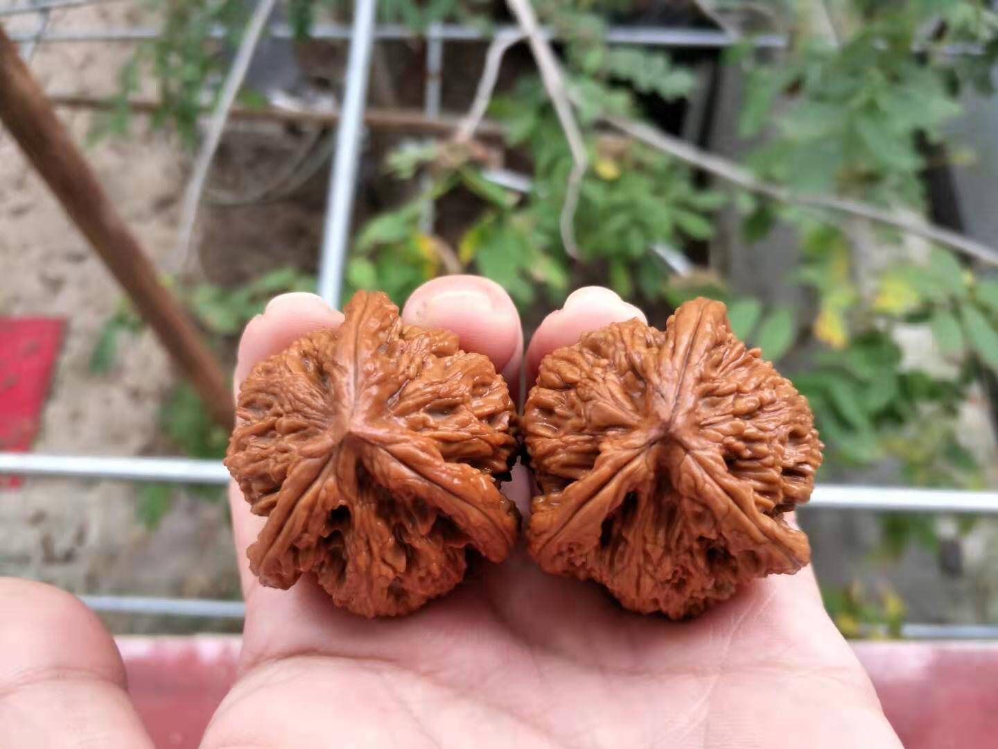 Vin Playing Walnut Four-Seat Lion Head Official Hat Wild Profiled Three Quadris Green Leather Boutique Collection to Play Dull