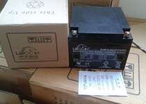 The haircare storage battery 12V24AH LEOCH battery DJW12-24 is free of maintenance EPS power supply UPS communication system