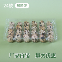 24 pieces of plastic thickened buckle quail egg tray Disposable quail egg box gift box packaging transparent 100 pieces