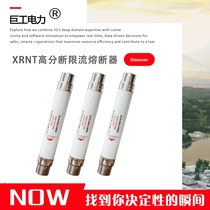 West melting XRNT1-10 3 15A-40A high voltage high score break current limiting fuse 10kv-12kv national standard