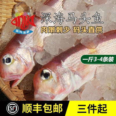 Chaoshan Horsehead рыба рыбалка глубоко замороженная море -морепродукты.