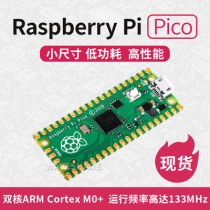 Raspberry Pi Pico development board raspberry pi PICO dual-core RP2040 support Mciro Python