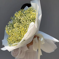 Большой луч желтых классических моделей отправляет лампы