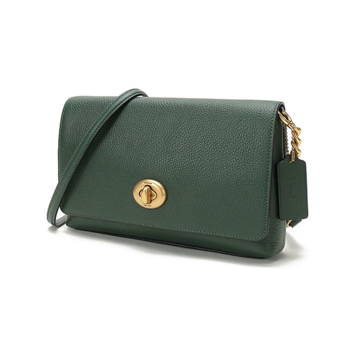 【Прямые продажи】 Тренерская женская маленькая сумка для поперечного плеча 1494 Сумка модных цепей сумки женская сумка женская сумка