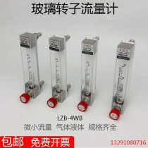 Changzhou Double Ring Glass Rotor Flowmeter LZB-4WB 4WBF Air Water Glass Tube Float Flowmeter