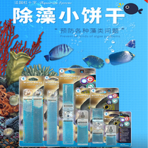 French Red Cross algae small biscuit removal po4 phosphate Automatic slow release patch Pale Seawater Fish Tank Removal