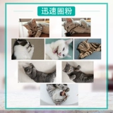 Прорезыватель, мятная игрушка, кот, можно грызть, котенок