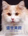 陶豆宠物用品