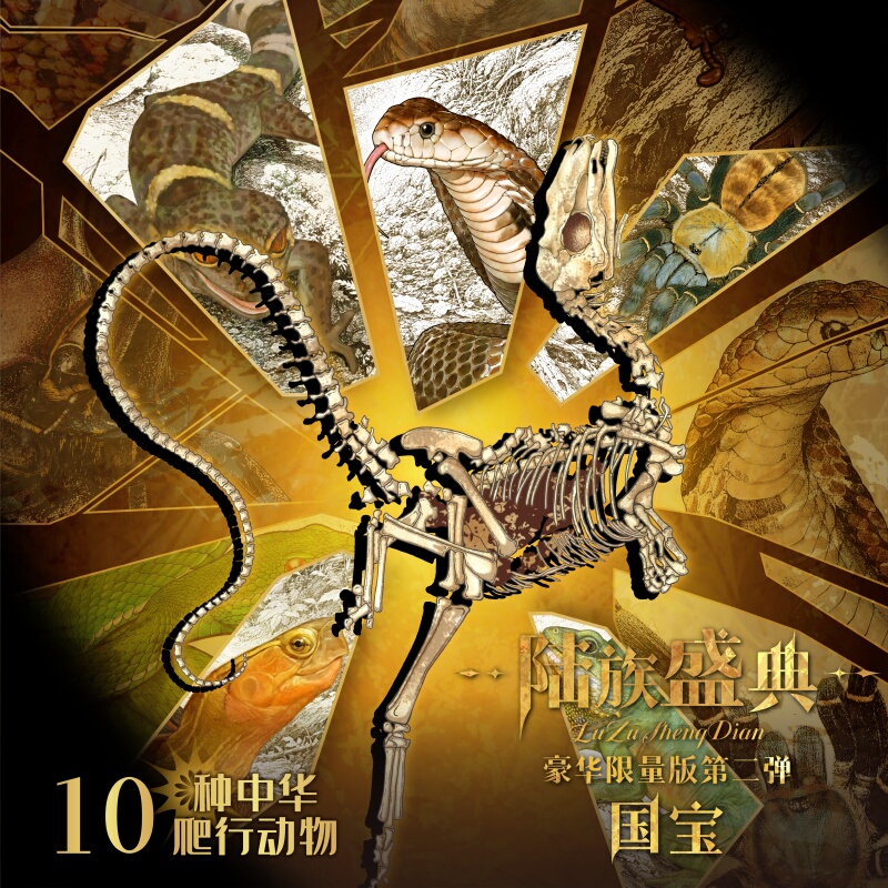 【Cute Card Collection Turtle Valley Exhibition Land Animal Festival】 Limited Edition Chinese Reptile Lithography Cards Collectible Cards 【Cute Card Collection Turtle Valley Exhibition Land Animal Festival】 Limited Edition Chinese Reptile Lithography Cards Collectible Cards