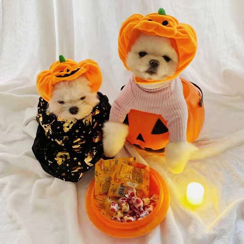 Pet Changing for Halloween Pumpkin Hat Warm Decoration Small Hat Puppies Cat Pumpkins Headgear Cute Trinkets