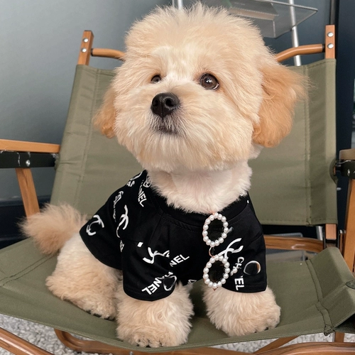 Трендовые ретро солнцезащитные очки, аксессуар, кошачий глаз