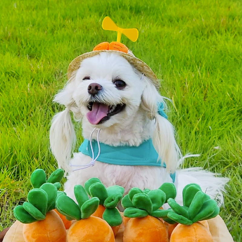 Pet dog hat cat headwear cute headgear dog straw hat bamboo dragonfly cat birthday small dog corgi jewelry